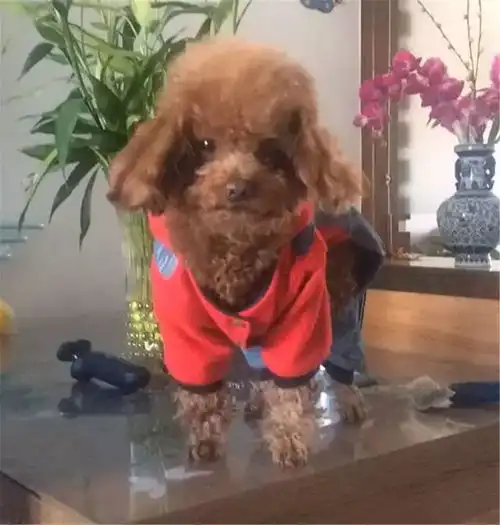 测试一个超长简介的文章
