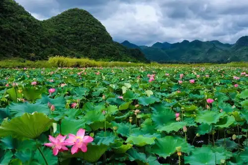 人生,总有一种旅行让你心动