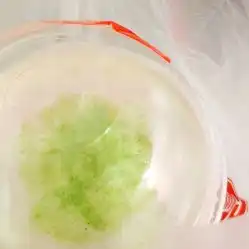 禧御贡茶太阳城店的芝士奶盖茶好不好吃用户评价口味怎么样秦皇岛美食芝士奶盖茶实拍图片大众点评