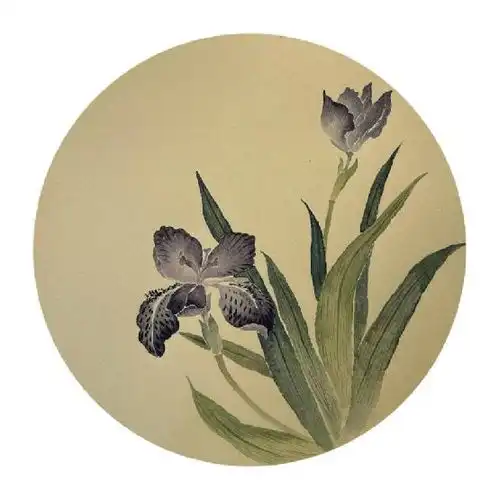 宏茹老师的没骨花卉格调淡雅脱俗,富有艺术生命力