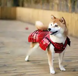 日本公司给宠物猫狗定做武士服威风凛凛