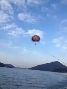 稻草人来青山湖了,全免还有更大的惊喜