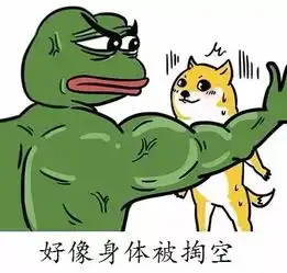 办遍世界签证阅尽天下帅哥