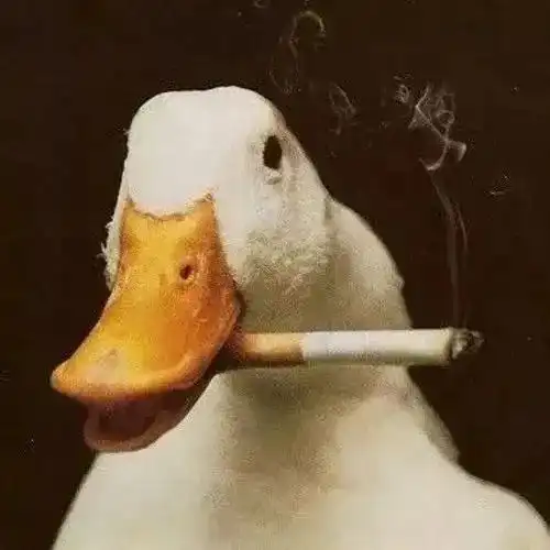 让你爱不释手的可爱谐音梗