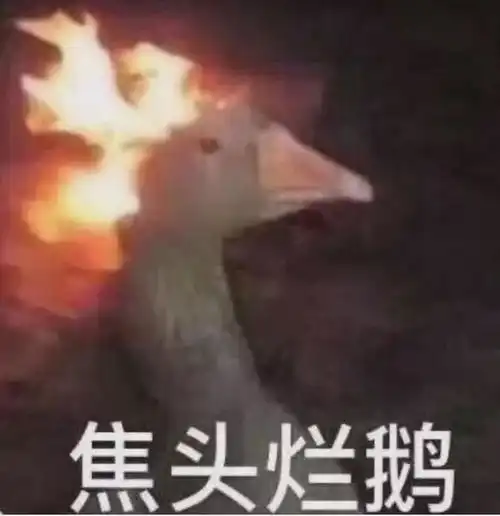 行业冥灯罗永浩,这一行又干砸了