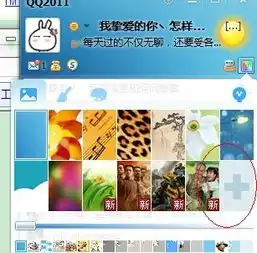 qq皮肤换不了