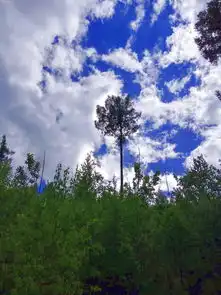 沿着国境线走一走,去北极村看风景