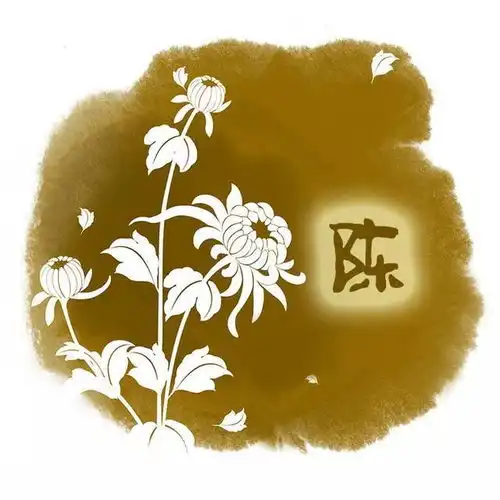 你的微信头像该换了,46张梅花古风签名头像,有你的姓氏吗