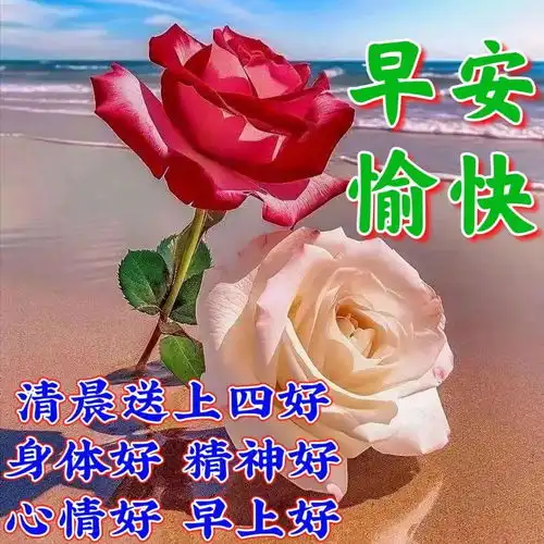 漂亮周日早安祝福图片,早安祝福语精选