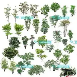 496.397张唯美清新画风水彩手绘花草树木线稿上色效果临摹参考图