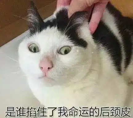 年前最后一波招聘来袭学校医院央企都是好单位,转给身边需要的人