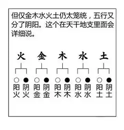一张图轻松看懂八字命理阴阳五行
