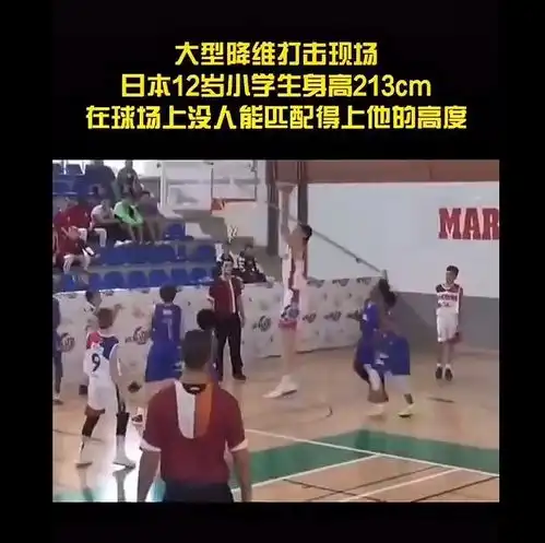 日本姚明12岁男孩臂展超2米20八村塁渡边威胁中国队