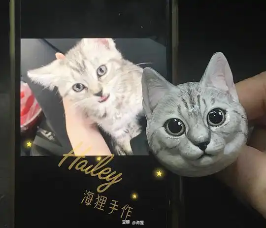 海狸的相册客定头像回顾