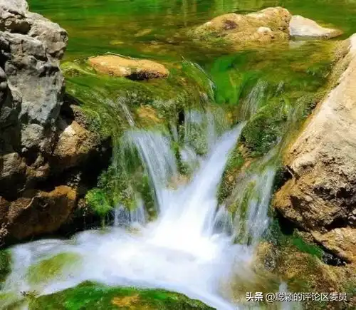 测试一个超长简介的文章