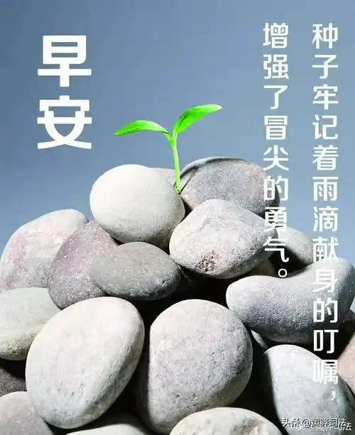 逆境使人成熟,绝境使人醒悟