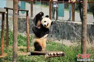 网页链接