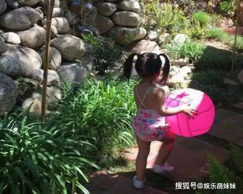 晒晒王力宏的超大别墅,院子踢足球也没问题,客厅能容纳上百人