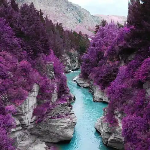 绝世美景,养眼养心