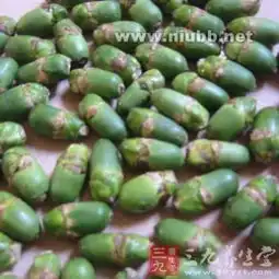 槟榔是什么槟榔怎么吃最有营养