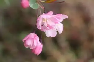 看淡便是晴天,看开才是幸福