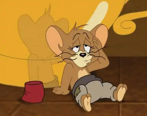 猫和老鼠是哪个国家的动画片哪个角色更贴近生活