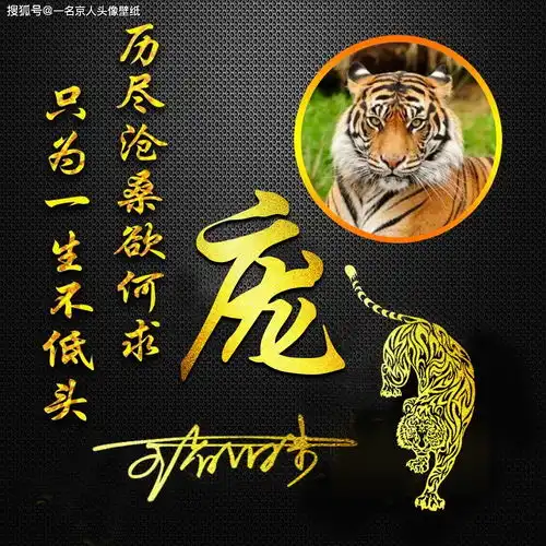 2021换张微信头像,霸气猛兽姓氏签名壁纸,18张任你挑选