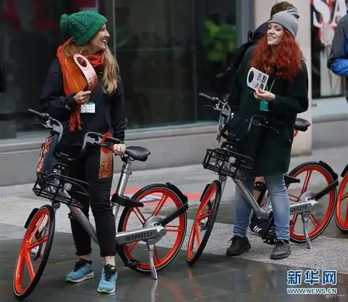 相当服气的云南主管看准网