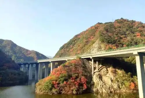 美到词穷这里不是江南却也有江南的韵味看完只想去隐居