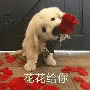 这么乐观,会有反复吗