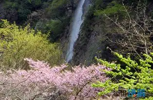 人间最美四月天清明玩转太白山
