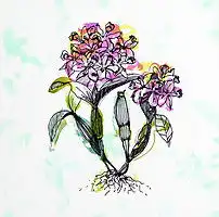 植物花卉图案插画图片素材模板下载0.92mb花卉大全自然