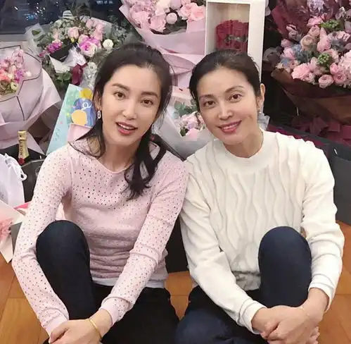 黄晓明见了直喊妈,宁静不再造次,捧娜扎进快本,李雪有多能耐