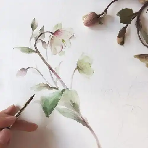 wishyu淡雅的水彩手绘花卉,柔和至极