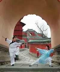 武当山武术弘扬传统文化