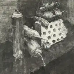 2012级新生素描与体验之完成作品
