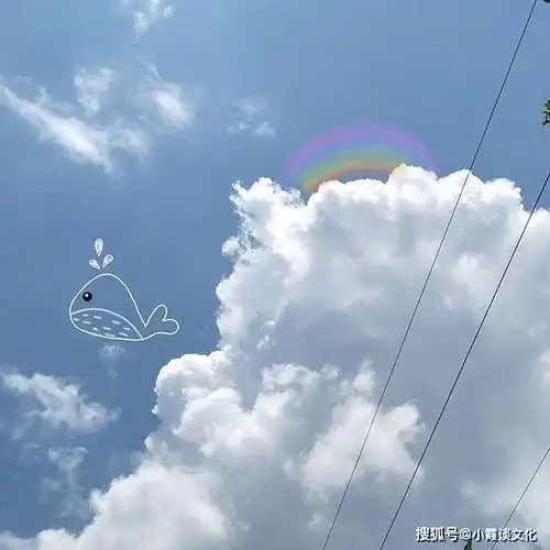 开启美好一天的早安心语,唯美暖心,太喜欢了