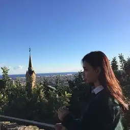 测试一个超长简介的文章