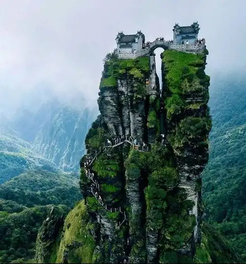 测试一个超长简介的文章
