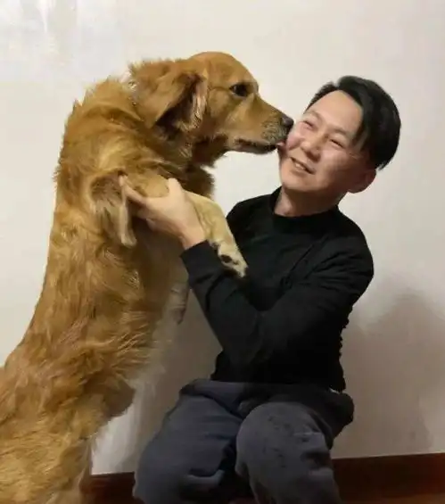 一天5000元的宠物侦探真能发一笔横财