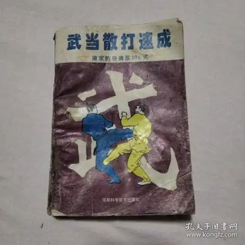 武当散打速成道家防身擒敌108式