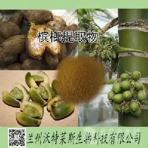 供应槟榔提取物供应槟榔提取物价格报价供应槟榔提取物品牌厂家