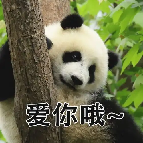超萌儿童节专属熊猫表情包,速来拿图