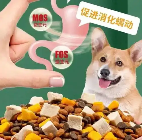 宠物经济的ab面