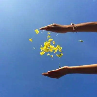 365网站
