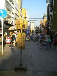 2010年东京自由行数贴合并版