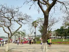 最真实的厦门厦门的厦天,厦门旅游攻略马蜂窝