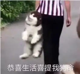 测试一个超长简介的文章