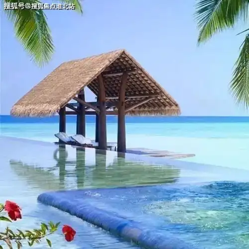 测试一个超长简介的文章