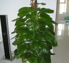黄页88高清图片